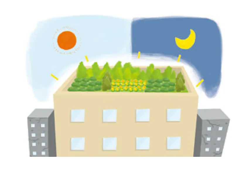 屋上緑化の効果 保護層としての機能が建物の耐久性を向上